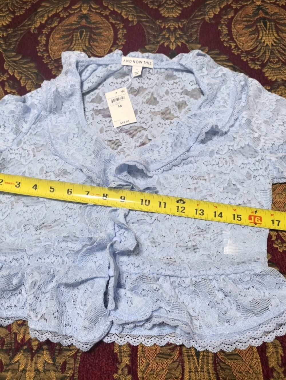Sheer Lace Ruffle-Trim Blouse - Light Blue - Picture 5 of 11